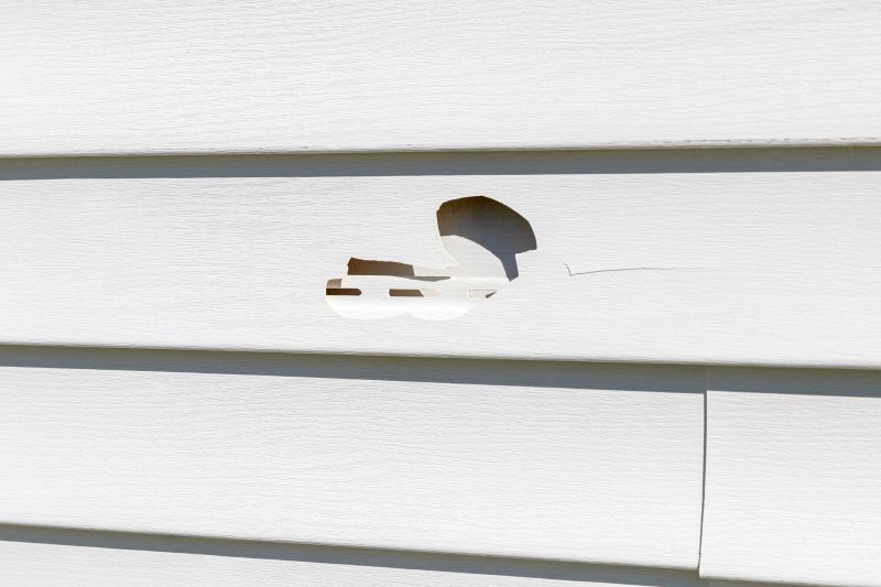 Siding repair specialists